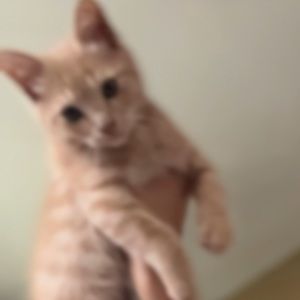 Meet your Posher, Richie